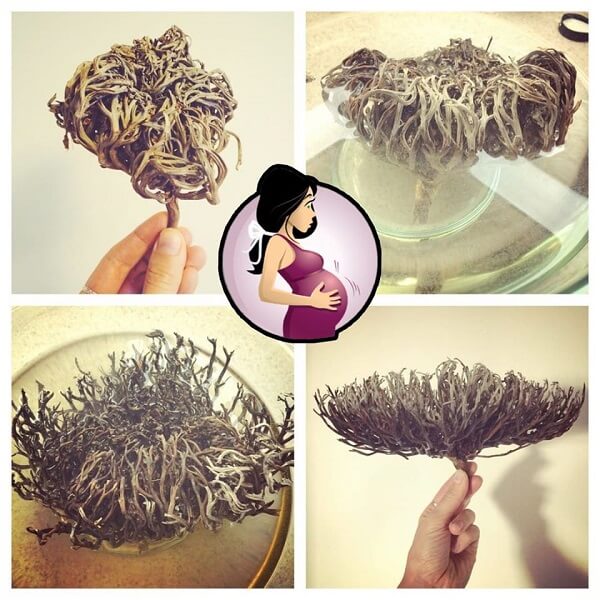 Mariom Flower